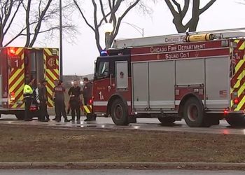 Woman in Critical Condition After Lake Michigan Rescue