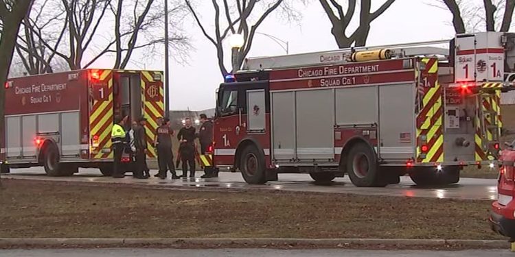 Woman in Critical Condition After Lake Michigan Rescue
