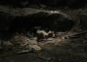 Body of 21-Year-Old Found in Willow Springs Near Major Intersection