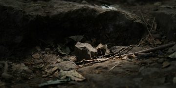 Body of 21-Year-Old Found in Willow Springs Near Major Intersection