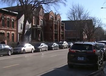 6-Year-Old Boy and Man Stabbed in Lincoln Park Attack