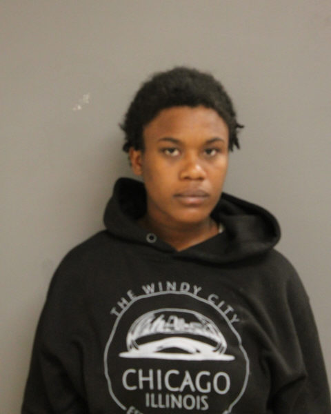 Woman Identified and Charged After Double Stabbing at 69th Street Red Line