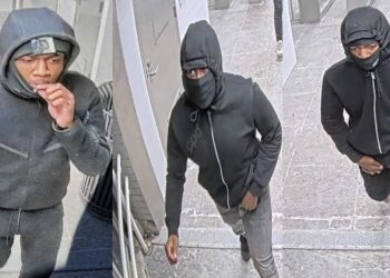 Armed Robbers Target Passenger on CTA Blue Line in West Garfield Park