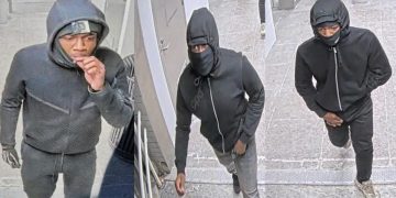 Armed Robbers Target Passenger on CTA Blue Line in West Garfield Park