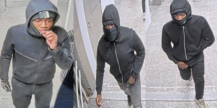 Armed Robbers Target Passenger on CTA Blue Line in West Garfield Park