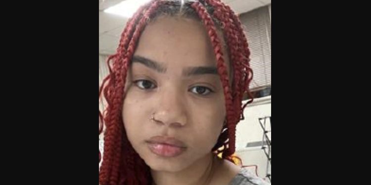 Chicago Police Search for Missing 17-Year-Old Anjolene Monroe