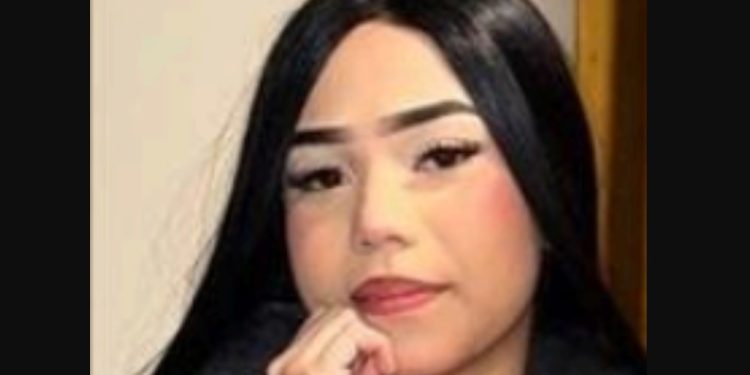 Chicago Police Seek Help Finding Missing 15-Year-Old Girl