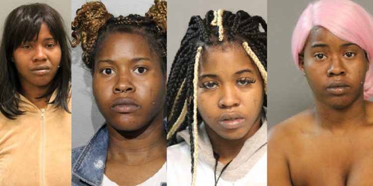 Community Unmasks Lemia Black as Red Line Robbery Suspect with Extensive Rap Sheet