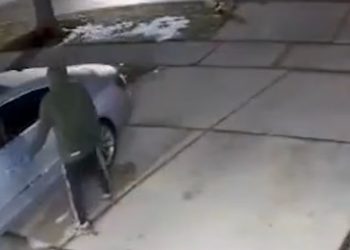 Elmhurst Police Warn of Car Burglary Crew After Early Morning Thefts