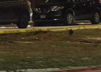 Man, Woman Shot While Driving in Brighton Park
