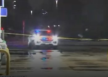 Pedestrian Killed in Riverdale Hit-and-Run; Driver in Custody