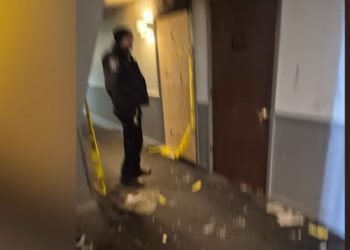 Person of Interest in Custody After Pregnant Mother Killed in Downers Grove Fire