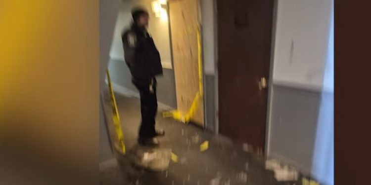 Person of Interest in Custody After Pregnant Mother Killed in Downers Grove Fire