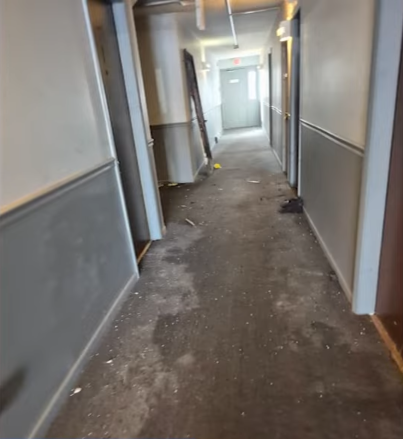 Person of Interest in Custody After Pregnant Mother Killed in Downers Grove Fire