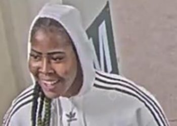 Woman Accused of Robbing and Attacking CTA Red Line Passenger