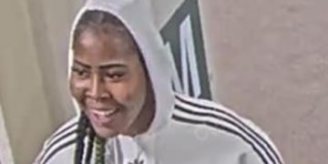 Woman Accused of Robbing and Attacking CTA Red Line Passenger