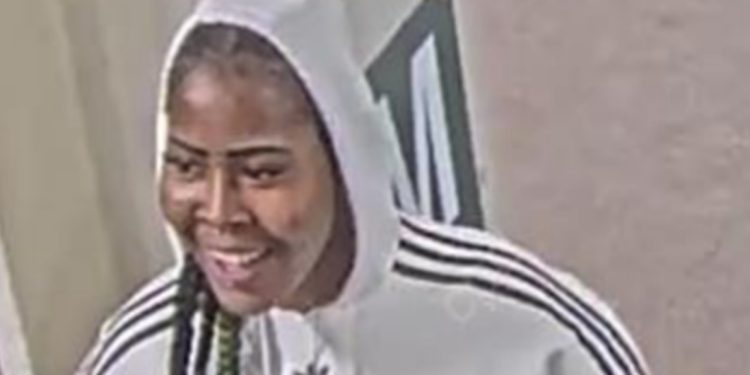 Woman Accused of Robbing and Attacking CTA Red Line Passenger