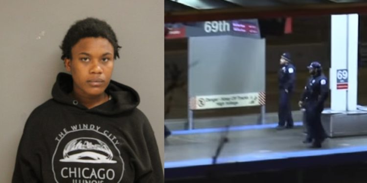 Woman Identified and Charged After Double Stabbing at 69th Street Red Line