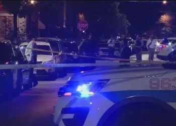 Chicago Police Officer Fires Weapon During West Side Traffic Stop