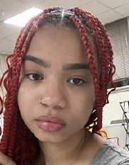 Chicago Police Search for Missing 17-Year-Old Anjolene Monroe