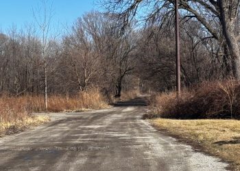 22-Year-Old Woman Found Shot to Death Near Altgeld Gardens