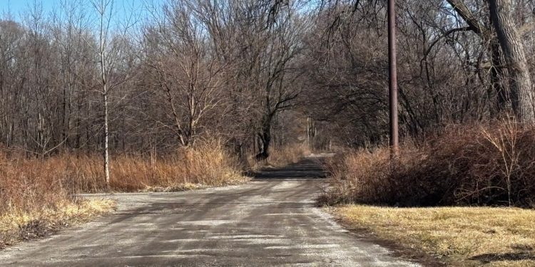 22-Year-Old Woman Found Shot to Death Near Altgeld Gardens