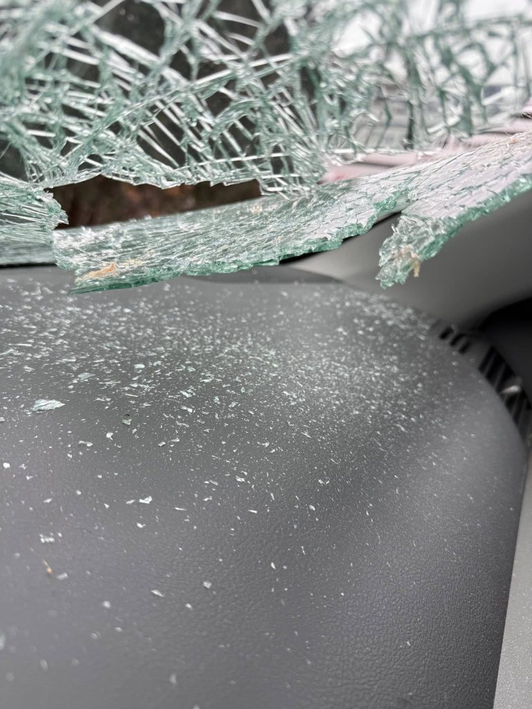 Wisconsin Woman Charged in Random Hit-and-Run and Stabbing Spree Near Gurnee Mills