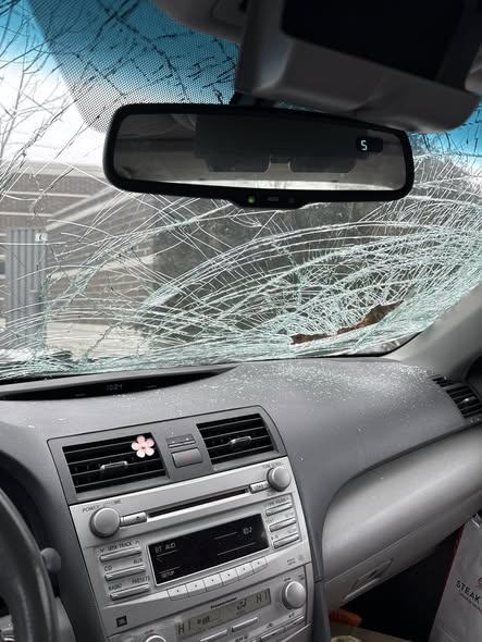 Wisconsin Woman Charged in Random Hit-and-Run and Stabbing Spree Near Gurnee Mills