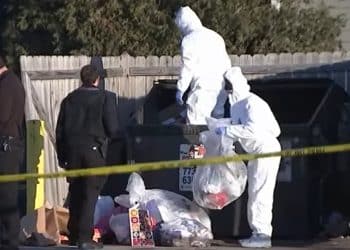 Body of Unidentified Woman Discovered Near Elk Grove Village Hotel