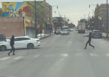 Chicago Crime: Mother Shot and Killed in Gresham with Baby in Car