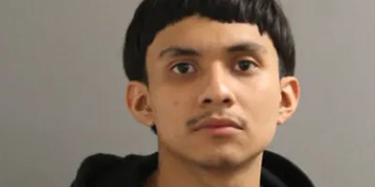 Chicago Man Pleads Guilty in Killing of 15-Year-Old Girl and 44-Year-Old Man at Austin Party