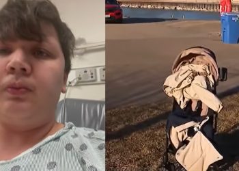 Hero Rescues Baby After Stroller Blows Into Lake Michigan in Lakeview