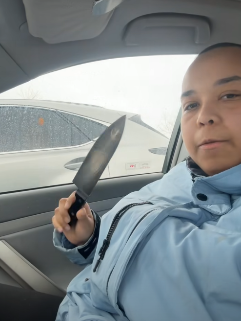 Wisconsin Woman Charged in Random Hit-and-Run and Stabbing Spree Near Gurnee Mills