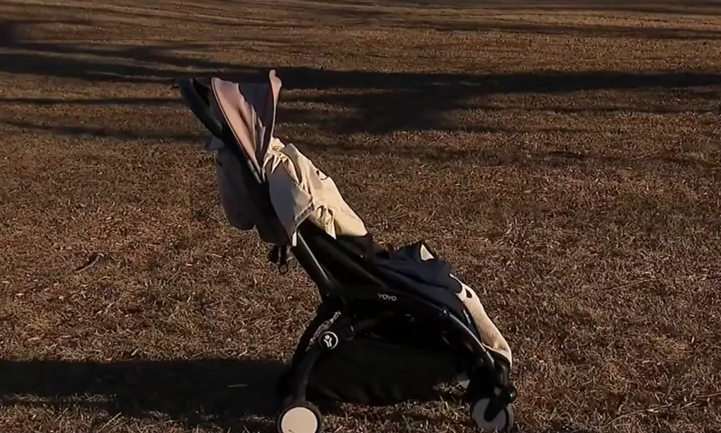 Hero Rescues Baby After Stroller Blows Into Lake Michigan in Lakeview