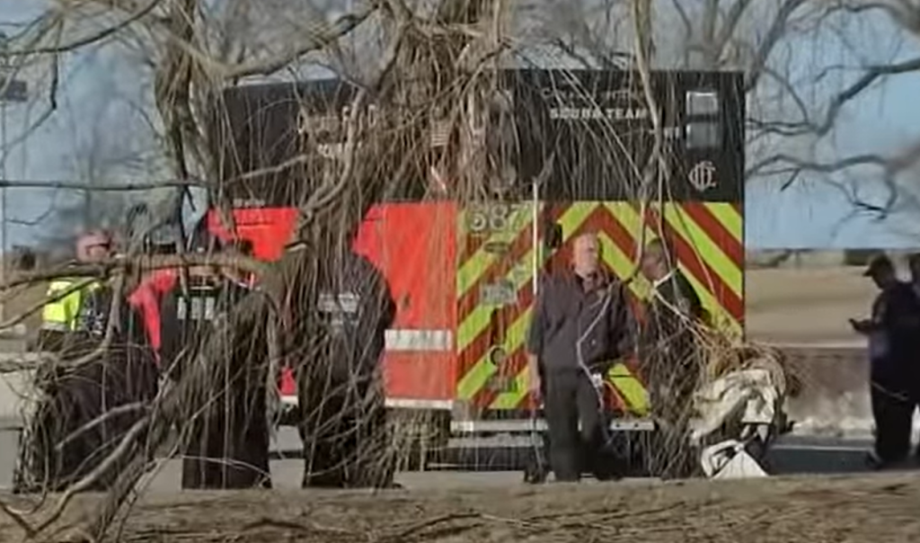 Hero Rescues Baby After Stroller Blows Into Lake Michigan in Lakeview