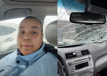 Wisconsin Woman Charged in Random Hit-and-Run and Stabbing Spree Near Gurnee Mills