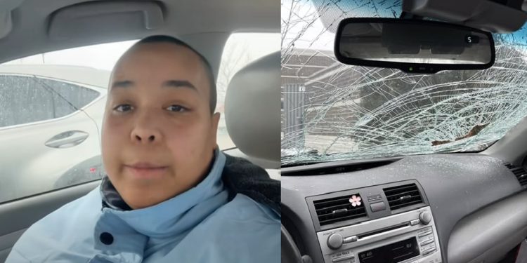 Wisconsin Woman Charged in Random Hit-and-Run and Stabbing Spree Near Gurnee Mills