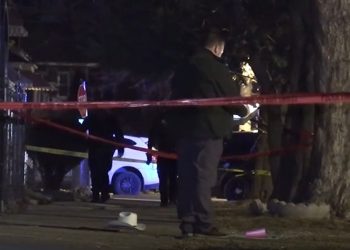 45-Year-Old Man Fatally Shot in Head in West Elsdon