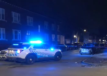 Chicago Police Arrest Man for Stabbing Mother Multiple Times in South Austin