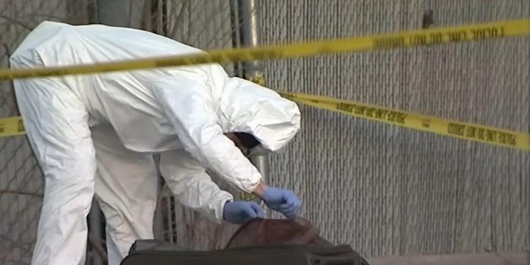 Man Charged With First-Degree Murder After Woman Found Near Elk Grove Village Dumpster