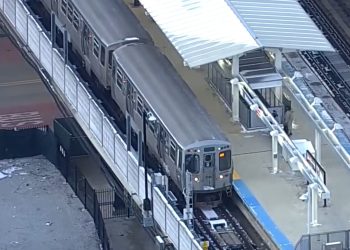 Man Found Dead on CTA Brown Line Train at Belmont Station in Lakeview