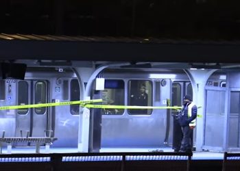 Man found dead on CTA Blue Line train