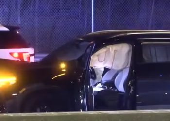 Pregnant Mother Killed in I-290 Hit-and-Run Near Hillside: Family Demands Justice