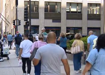 Chicago Police Launch Massive Loop Street Vendor Crackdown