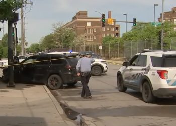 Dan Ryan Chase: ATM Thief Hits Cook County Deputy with Squad Car