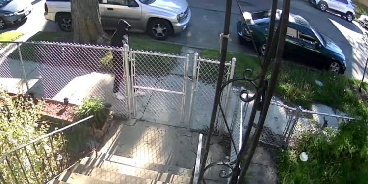 East Side Chicago Shooting Video Released by Police After Triple Attack