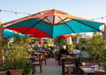 South Carolina Patio Umbrella Accident Kills Lakeside Diner Over Holiday Weekend