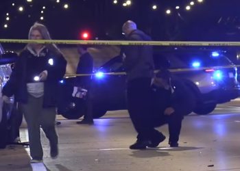 West Lawn Tragedy: 53-Year-Old Killed in Late-Night Hit-and-Run