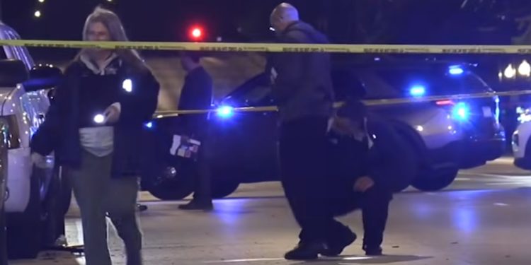 West Lawn Tragedy: 53-Year-Old Killed in Late-Night Hit-and-Run