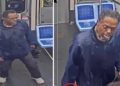 Chicago Police Search for Man Who Stabbed Woman on CTA Blue Line Train